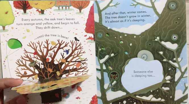 Usborne Peep Inside A Tree