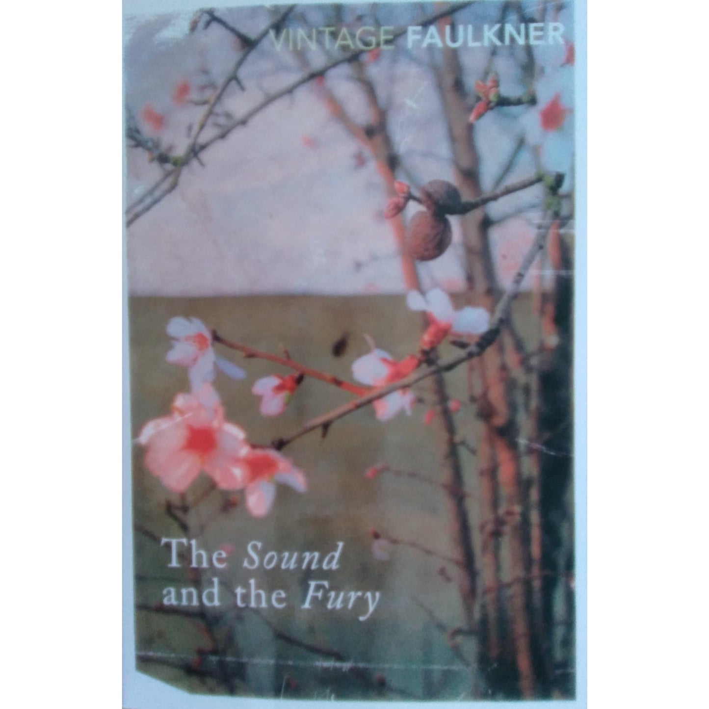 The Sound and the Fury by William Faulkner